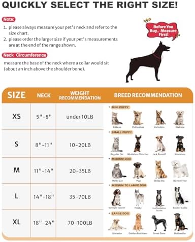 Dog Cone Collar for Small Medium Large Dogs for After Surgery, Pet Inflatable Neck Donut Collar Soft Protective Recovery Cone for Dogs and Cats - Alternative E Collar Does Not Block Vision - Green,L