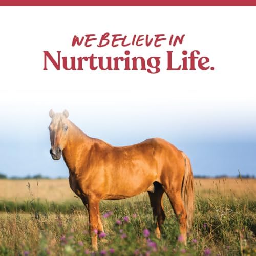 Manna Pro Weight Accelerator for Senior Horses | Made with Omega 3 Fatty Acids from Flaxseed | 8 Pounds