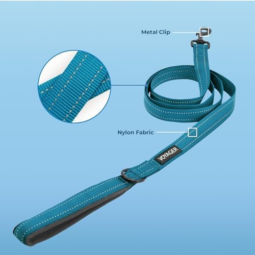 Voyager Reflective Dog Leash Collar Set with Neoprene Handle Supports Small, Medium, and Large Breed Puppies, Cute and Heavy Duty for Walking, Running, and Training - Turquoise, S