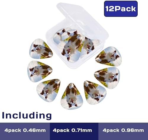 12-180 Pack Custom Guitar Picks Personalized Guitar Picks Add Your Photo Text Logo Customized Guitar Bass Ukulele Accessories Gifts for Men Women (5 Set(60 PCS)One sided printing)