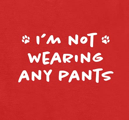 APPARELYN Funny Dog Hoodies I'm Not Wearing Any Pants Cute Dog Clothes Pet Puppy Cat Sweatshirt Dog Accessories for Small & Large Dogs Soft Breathable | Charcoal (2X-Large)