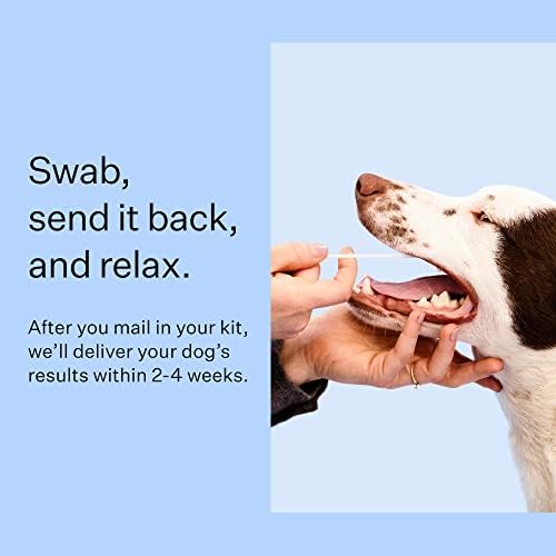 Wisdom Health Panel Breed Discovery Dog DNA Kit: Most Accurate Dog Breed Identification, Test for 365+ Breeds, MDR1 Health Test, Ancestry, Relatives