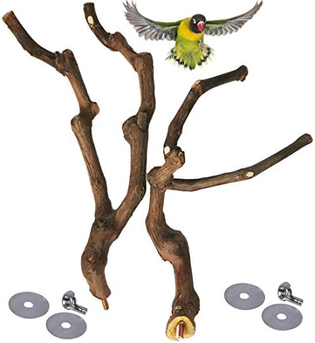 kathson Natural Parrot Perch Bird Stand Pole Wild Grape Stick Paw Grinding Fork Parakeet Climbing Standing Branches Toy Chewable Cage Accessories for Small Budgies Cockatiels Lovebirds 3PCS