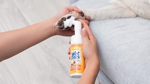 Wet Ones for Pets Antibacterial Dog Paw Cleansing Foam with Built-in Paw Scrubber Brush, Tropical Splash Scent | Dog Paw Cleaner with Antibacterial Foam and Brush, 5 oz - 6 Pack
