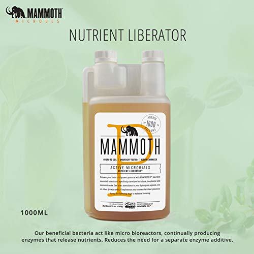 1000ml Mammoth P - Organic Bloom Booster | Soil Inoculant |