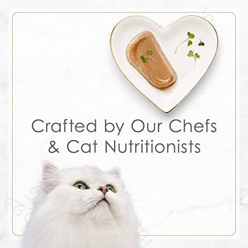 Purina Fancy Feast Gourmet Pate Wet Cat Food, Petites Tender Turkey Entree - (Pack of 12) 2.8 oz. Tubs