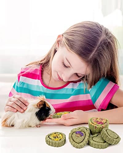 Sofier 28Pcs Timothy Hay Treats Rabbit Toys Bunny Toys Guinea Pig Toys Natural Handmade Treats and Chews for Small Animals Hamster Chinchilla Rat Gerbil