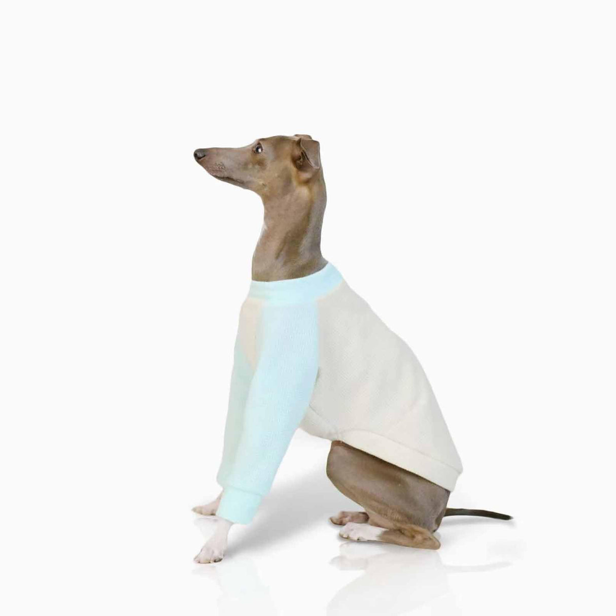 UOSIA Italian Greyhound Clothes Whippet Clothes Basic Soft Dog Shirt Long-Sleeved Dog Pullover Shirt Cotton Puppy Clothing Crewneck Dog Sportswear Fall Pet Outfits for Small Medium Dogs