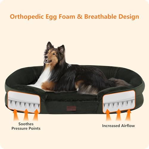 Dwanton Orthopedic Dog Bed for Large Dogs, Waterproof Dog Sofa with Egg Foam Support, Washable Pet Bed with Four Sided Bolster Cushion, with Removable Cover & Non-Slip Bottom, 42 Inches, Green