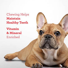 Load image into Gallery viewer, Dreambone Twist Sticks Rawhide Free Dog Chews, Made with Real Chicken, 100 Count (Pack of 1)