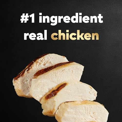 CESAR Adult Wet Dog Food Filets in Gravy Rotisserie Chicken Flavor, 3.5 oz. Easy Peel Trays, Pack of 24