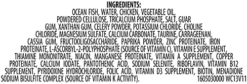 Rachael Ray Nutrish Natural Wet Cat Food, Ocean Fish & Chicken Catch-iatore Recipe, 2.8 Ounce Cup (Pack of 24), Grain Free, Brown (071190007049)