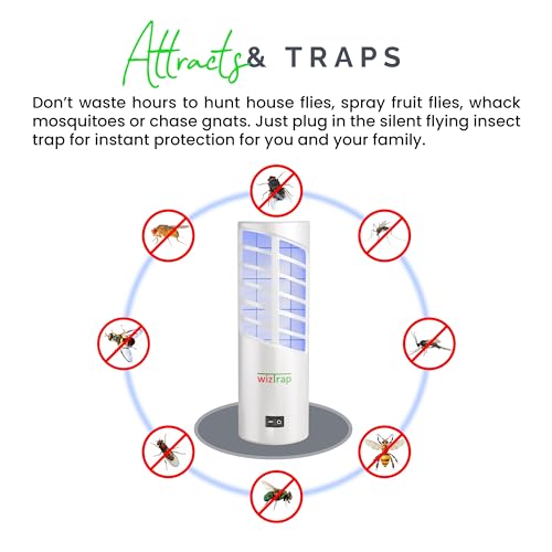 WizTrap™ 2-Pack Large Indoor Plug in Fly Trap, 21 UV LED Bulbs, 10 Sticky Glue Board Refills, A Home Gnat Trap, Moth Trap, Flies, Bug Trap, Mosquito Trap! (2 Devices 10 Glue Boards)