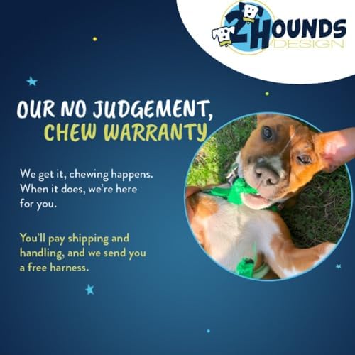 2 Hounds Design Freedom No Pull Dog Harness, Adjustable Harness and Leash Set, Easy Walking & Comfortable Control, Fits Small, Medium & Large Dogs, Solid Colors, Made in USA, 1" MD, Kelly Green