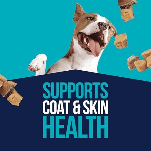 Stewart Single Ingredient Freeze Dried Raw Dog Treats, Wild Salmon, 9.5 Ounce Resealable Tub, Training Treats or Meal Topper for All Size Dogs, High Protein, Grain-Free, Gluten-Free