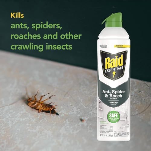 Raid Essentials Ant Spider, and Roach Killer Aerosol Spray, Child & Pet Safe, Kills Insects Quickly, 10 Ounce, 6 Pack (6), 331877