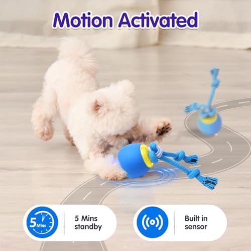Interactive Dog Toys Electric Dog Ball Touch Wake-up with Dogs Chirping Rechargeable Toys Indoor & Outdoor Fun