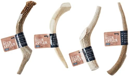 Amazon Brand - Wag Dog Deer Antler Chew, Naturally Shed, Whole, Large 8-9.5 inches (Best for Dogs 30-45 lbs), 3.20 Ounce (Pack of 1)