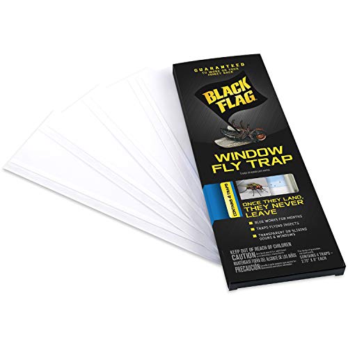 Black Flag Window Fly Trap, Ready-to-Use, 4-Count, 24 Pack