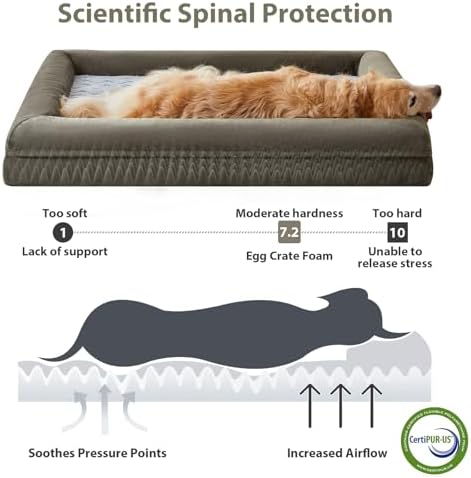 WNPETHOME Washable Dog Beds Large Sized Dog, XXXL Dog Couch, Orthopedic Dog Sofa Bed with Removable & Waterproof Cover, Extra Large Dog Bed with Bolster Sides for Sleeping, Giant Dog Couch with Sides