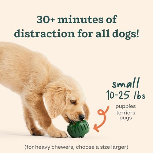 WOOF Pupsicle and Treat Tray - Long-Lasting Interactive Dog Toys for Boredom and Silicone Treat Mold for Dog Treats - Reusable, Dishwasher Safe - Dog Toys For Small Dogs 10-25 lbs