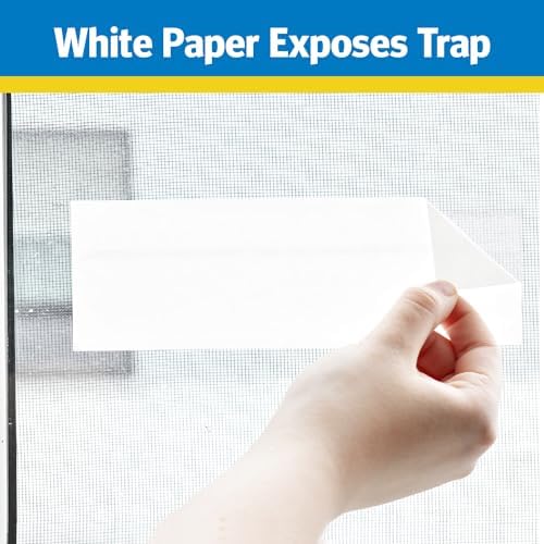 Raid Window Fly Trap 6 Pack, Fruit Fly Traps for Indoors, Disposable Bug Catcher, Paper Sticky Strips, Insect Glue Trap for Home, Kitchen, & Garage