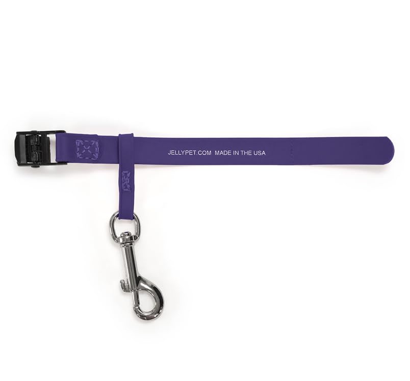 Jelly Pet Safety Tether for Table (Lime)