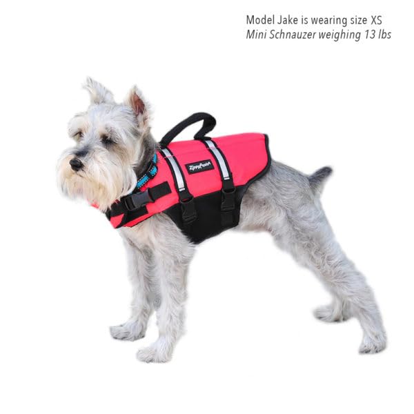ZippyPaws Adventure Dog Life Jacket - Dog Life Vest for Swimming & Boating, Fits Small Pets, Lightweight Flotation Device for Water Safety, Padded Handle, Adjustable Fit, 6-10" - XX-Small, Red