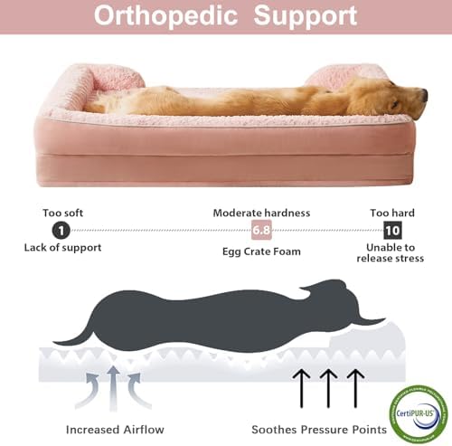 WNPETHOME Dog Bed for Extra Large Dogs, Washable Dog Bed with Waterproof Lining & Non-Skid Bottom, Orthopedic Egg Foam Couch for Pet Sleeping, Pet Bed