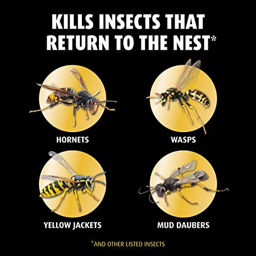 ORTHO Home Defense Hornet & Wasp Killer7 - 16 Oz