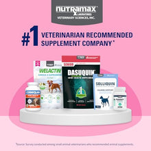 Load image into Gallery viewer, Nutramax Proviable Probiotics for Dogs, Daily Digestive Health Supplement with Multiple Strains of Bacteria, Dog Probiotics Plus Prebiotics, 60 Chewable Tablets