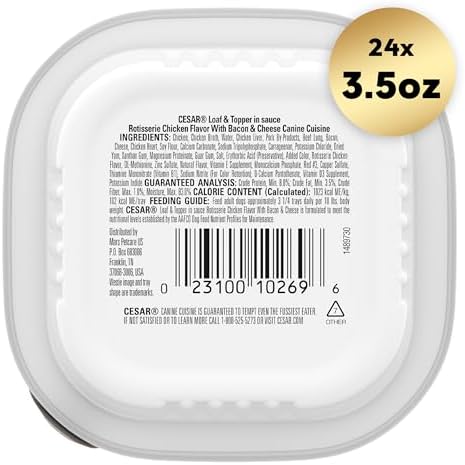 CESAR Adult Wet Dog Food Filets in Gravy Rotisserie Chicken Flavor, 3.5 oz. Easy Peel Trays, Pack of 24