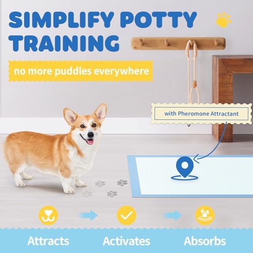 100-Pack X-Large Puppy Pads - 34'' x 28'' Pee Pads for Dogs Potty Training with Leak-Proof Quick-Dry Design, 6-Layer Wee Wee Pads for Dogs