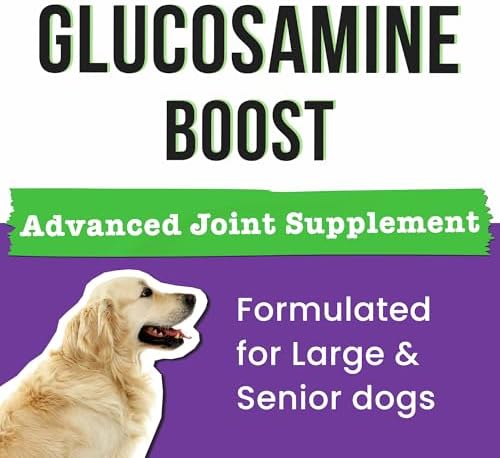 Glucosamine for Dogs - Joints Health Treats w/Omega Fish Oil - Natural Joint Pain Relief - Canine Hip and Joint Supplement w/Chondroitin + MSM + Turmeric + Calcium - 240 Beef Chews