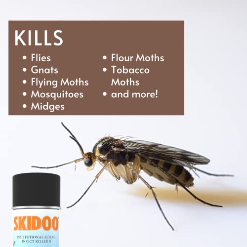 Diversey 5814919 Skidoo Institutional Flying Insect Killer II, Kills Flies, Gnats, Mosquitoes, Wasps & More, Aerosol Spray, 15-Ounce (pack of 6)