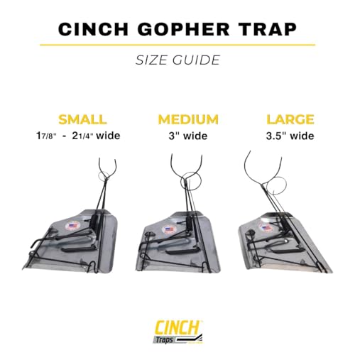 Cinch Gopher Trap - Professional-Grade Gopher Traps That Work Best, Heavy Duty, Reusable Rodent Trapping System - Ideal for Lawns, Gardens, Ranches, and More - Outdoor Use, Medium, Single Trap