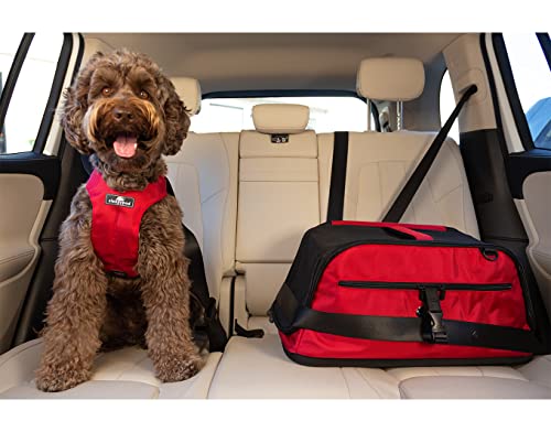 Sleepypod Air Pet Carrier Robin Egg Blue