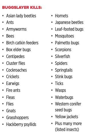 BUGGSLAYER Insecticide Ready-to-use Indoor 32-oz