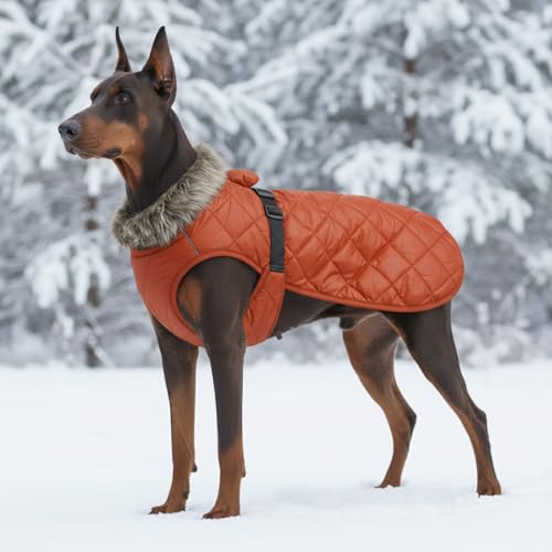 LUVMOJO XXXXL Dog Winter Coat for Giant Breeds, Heavy-Duty Warm Fleece Jacket for Extra Large Dogs, Waterproof Reflective Pet Clothing with Elastic Chest Band, Outdoor Cold Weather Outfits & Overalls