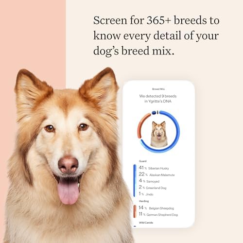 Wisdom Health Panel Premium Dog DNA Kit: Most Comprehensive with 265+ Health Tests, Identify 365+ Dog Breeds, 50+ Traits, Relatives, Ancestry, Genetic Diversity - Pack of 1