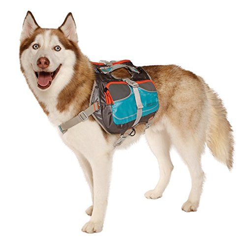 Cesar Millan Dog Backpack Large Blue