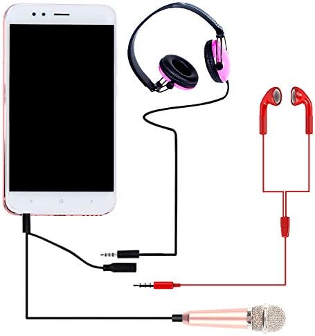 LOCOLO 4Pcs Mini Microphone with Omnidirectional Stereo Mic for Voice Recording, Portable Microphone Chatting and Singing Compatible with Smartphone