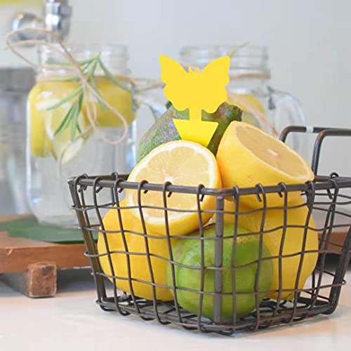 72 Pcs Sticky Traps for Fruit Fly, Whitefly, Fungus Gnat, Mosquito and Bug, Yellow Sticky Insect Catcher Traps for Indoor/Outdoor/Kitchen, Extremely Sticky Fly Trap, Non-Toxic