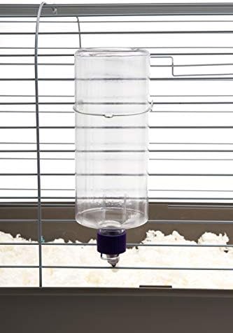 Lixit Standard Cage Water Bottles for Rabbits, Ferrets, Guinea Pigs, Hamsters, Rats, Mice and Other Small Animal's (32 Ounce, Clear Pack of 2)