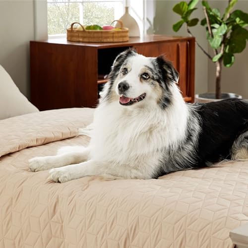 Bedsure 100% Waterproof Bed Cover for Dogs Washable - Non Slip Waterproof Dog Blanket for Bed, Lightweight Furniture Protector Durable for Pet Cat Puppy with Non-Slip Bottom, Beige, 82x102IN