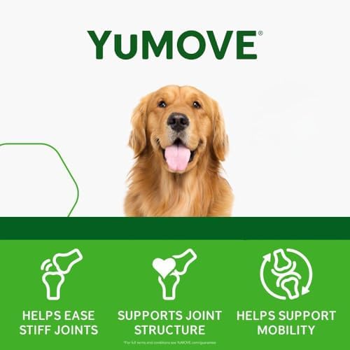 Hip and Joint Supplement for Dogs with Glucosamine, Chondroitin, MSM, Omega 3, Hyaluronic Acid, Green Lipped Mussel, & Fish Oil for Dogs - Joint Support Supplement - Senior Dogs, 240ct Tablets