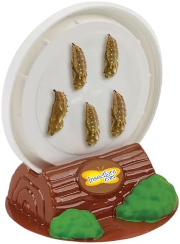 Insect Lore Butterfly Farm™ | Butterfly Kit with Live Cup of Caterpillars | 5 Caterpillars, Reusable Habitat, STEM Butterfly Journal & More