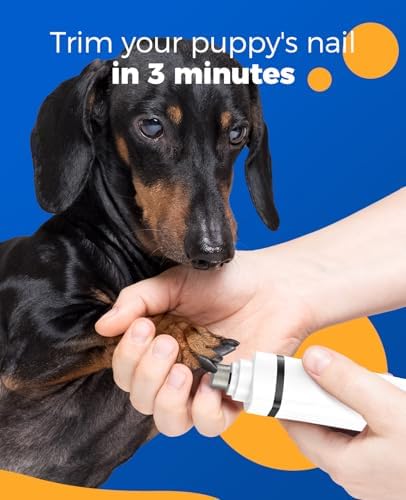 oneisall 4-in-1 Cordless Dog Grooming Kit with 2-Speed Clippers, Low Noise Paw Trimmer & Rechargeable Quiet Nail Grinder for Dogs and Cats (White)