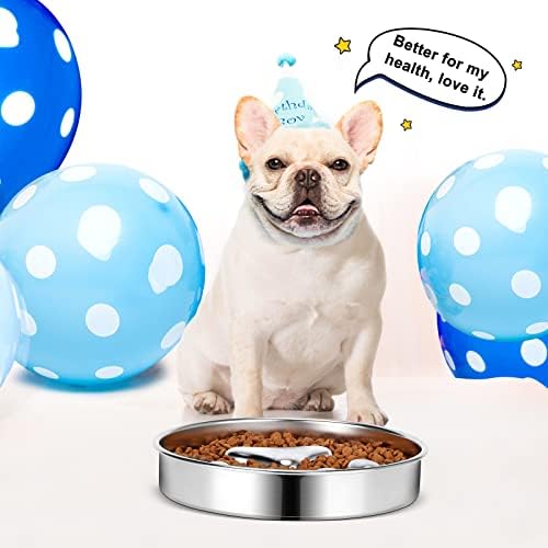 Slow Feeder Dog Bowls 304 Stainless Steel, 2 Cups Metal Food Bowls, Water Bowl for Small & Medium Sized Dogs, Fun Bloat Stop Pet Fast Eaters