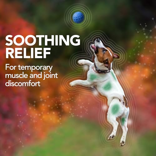 Vet’s Best Dog Pain Relief Supplement, Natural Aspirin Alternative for Hip & Joint Support, Arthritis & Aches Relief Tablets for Dogs, 150 Count